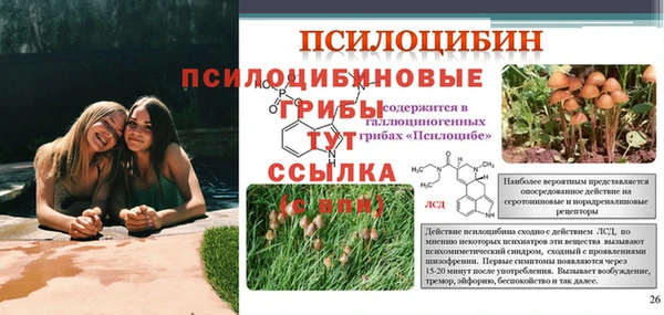 таблы Белокуриха