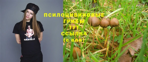 таблы Белокуриха